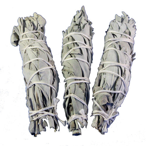White Sage Smudge (Salvia Apiana) - Medium 6 inches
